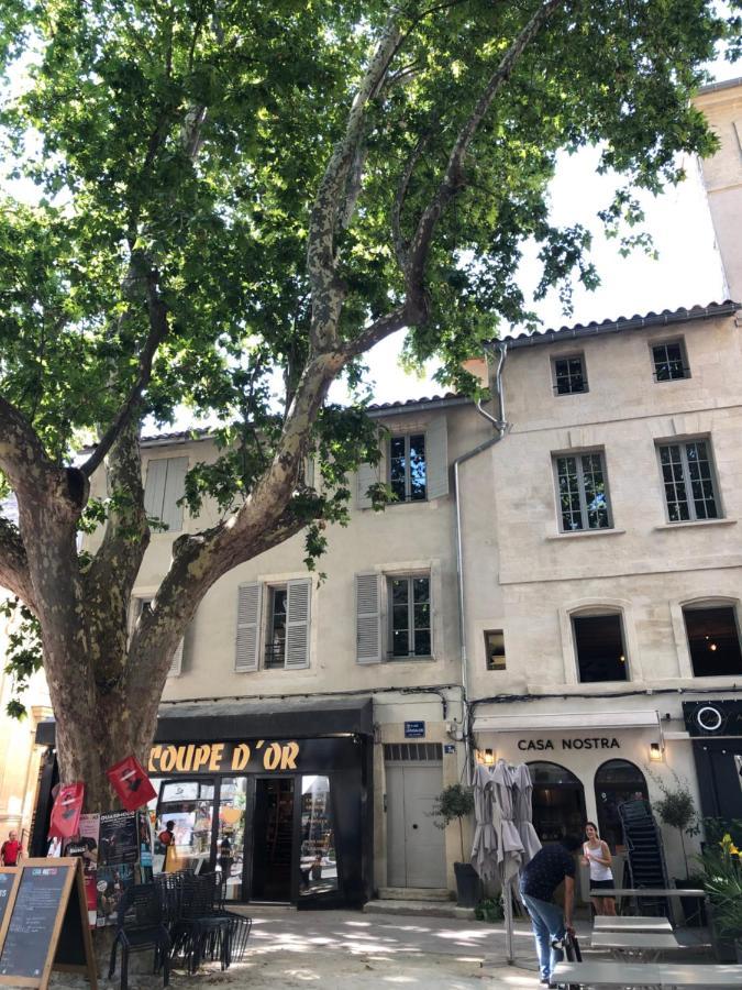 Avignon Pedestrian Area, Charming, 4 Persons Apartment ภายนอก รูปภาพ