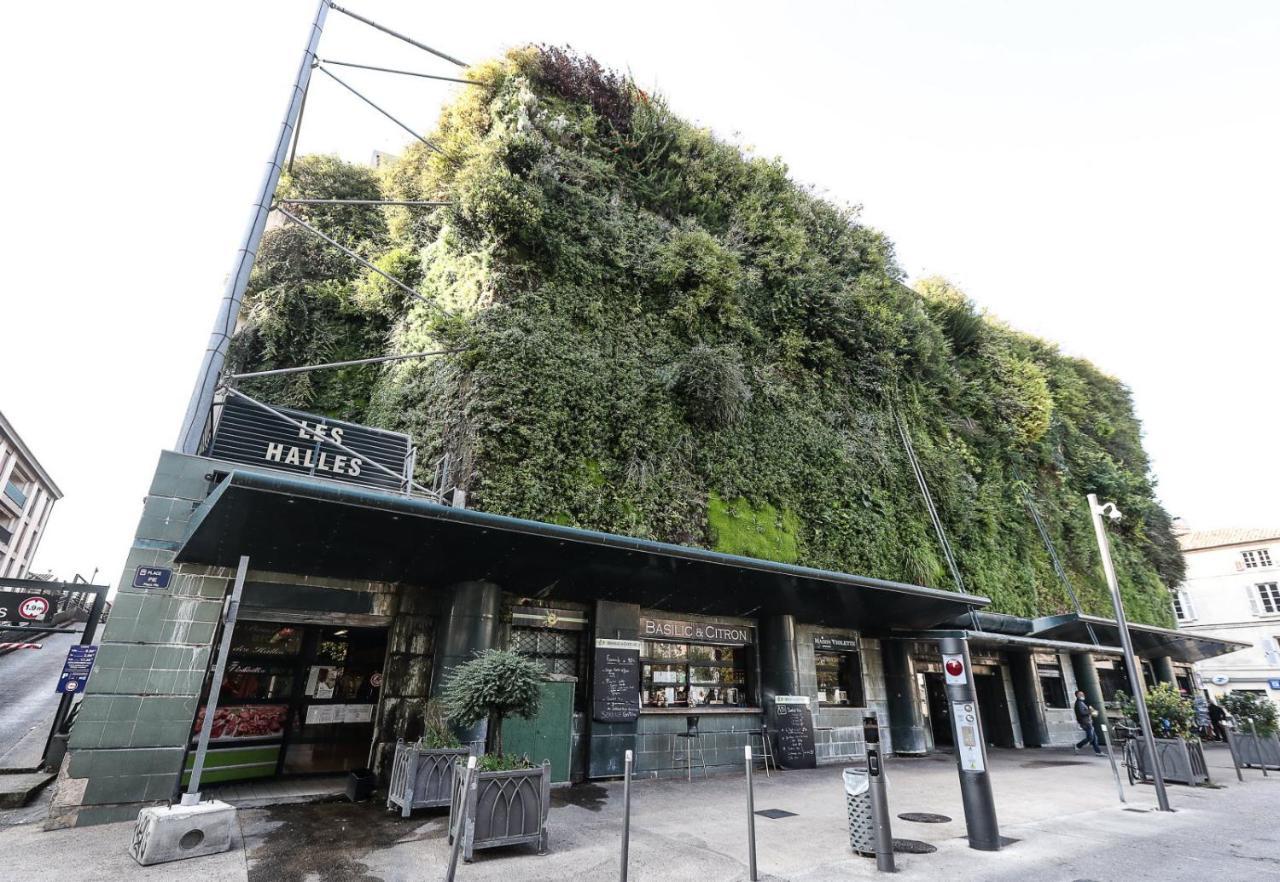 Avignon Pedestrian Area, Charming, 4 Persons Apartment ภายนอก รูปภาพ