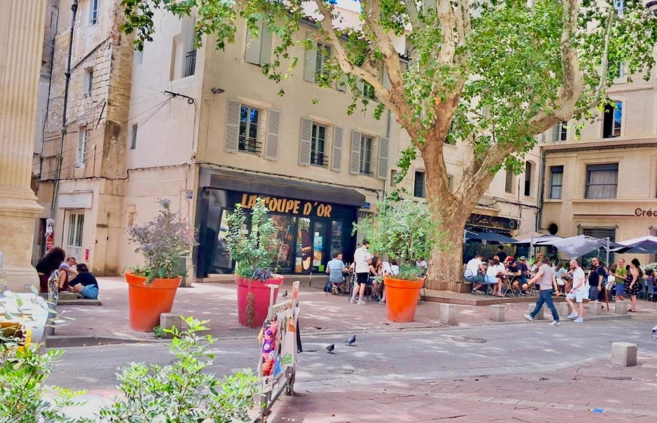 Avignon Pedestrian Area, Charming, 4 Persons Apartment ภายนอก รูปภาพ