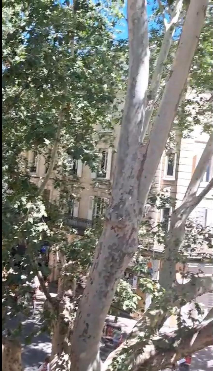 Avignon Pedestrian Area, Charming, 4 Persons Apartment ภายนอก รูปภาพ